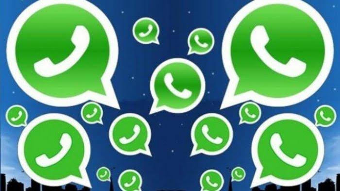 Jasa hack/sadap wa Luar negeri (Profesional)